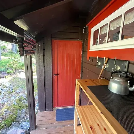 Sjarmerende Omgitt Av Vakker