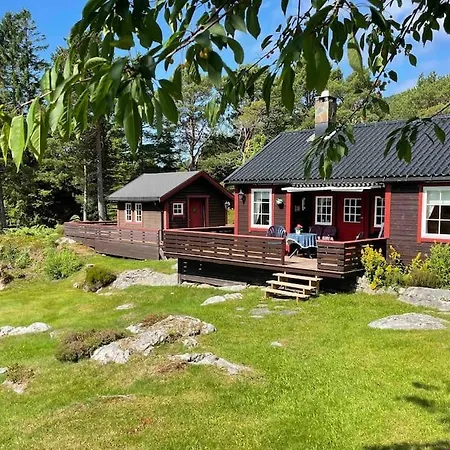 Sjarmerende Omgitt Av Vakker