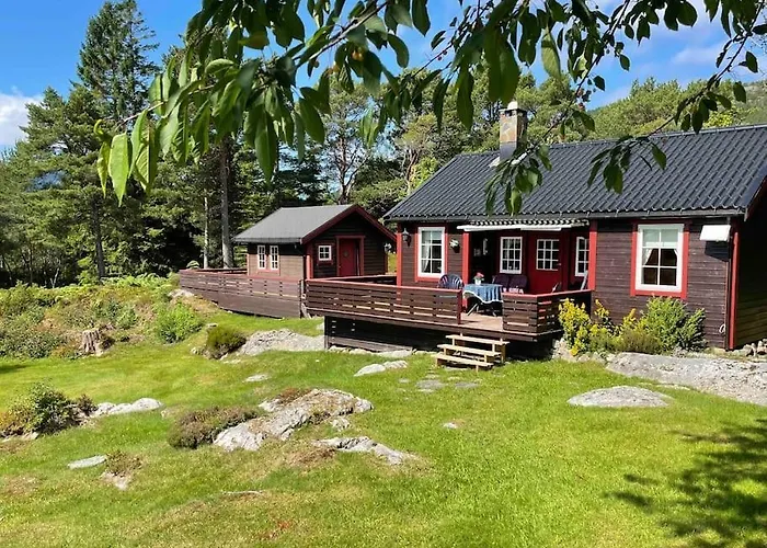 Sjarmerende Omgitt Av Vakker