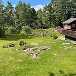 Sjarmerende Omgitt Av Vakker 莫尔德